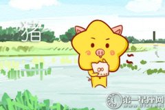 属猪男生做什么事会让女生好感爆棚