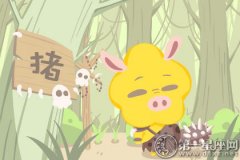 2018年属猪9月运程解析