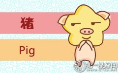 属猪男几岁的时候当上爸爸最合适