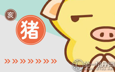 猪 猪