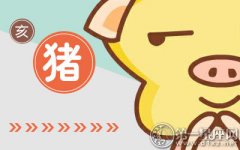 属猪怎么样才会主动学习