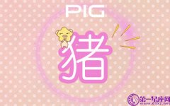 属猪性冲动时有什么体现