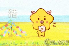 失眠时属猪会怎么办