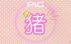 属猪擅长化解尴尬的气氛吗