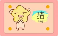 2018年属猪人如何提高事业运势
