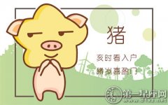属猪十一月跟什么属相犯冲