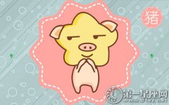 属猪的耍赖皮指数都有多高