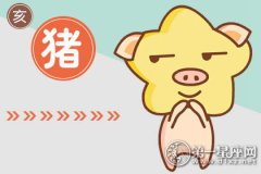 属猪男喜欢异性对自己做什么