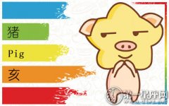 当幸福来敲门_属猪的第一反应