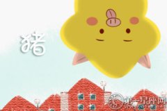 属猪恋情会因毕业季而支离破碎吗