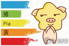 生肖猪是喜欢肤白的美女还是大长腿