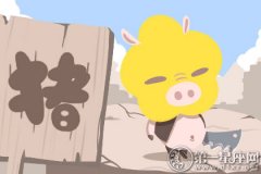 属猪最喜欢什么饮料