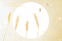 腿打折，属猪是这么对付要打折的