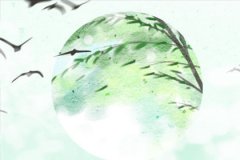 感情深一口闷，属猪喝酒口号是什么