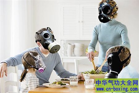 5妙招净化室内空气 不要再担心空气问题