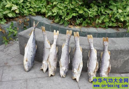 咸鱼的危害 吃这种鱼小心癌症找上你