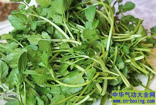 当你知道西洋菜有多好时 肯定会爱上它