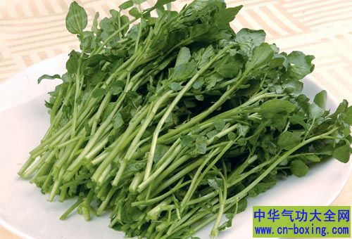 当你知道西洋菜有多好时 肯定会爱上它