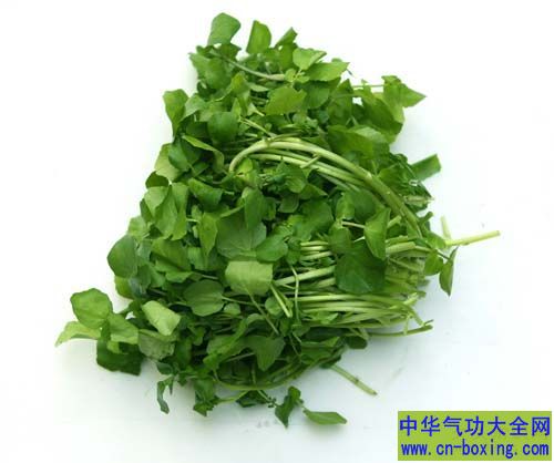 当你知道西洋菜有多好时 肯定会爱上它