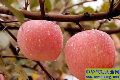 早上空腹吃苹果好吗?哪类人不宜吃苹果