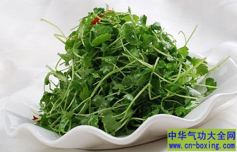香菜不可以和什么一起吃?记住这些禁忌