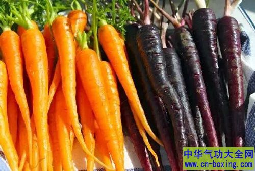 紫色胡萝卜