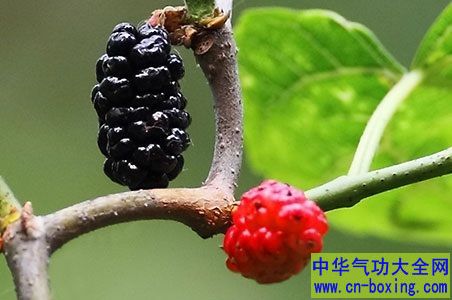 这些紫色食物能让女人吃出美丽