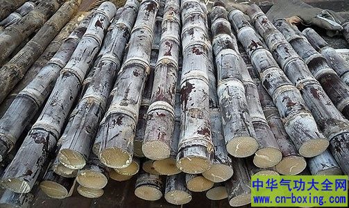 清明前后慎选甘蔗!清明蔗,毒过蛇
