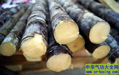 清明前后慎选甘蔗!清明蔗,毒过蛇