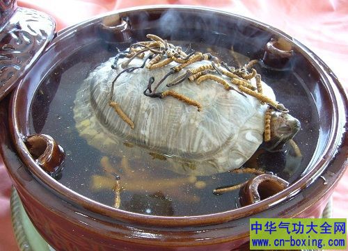 孕妇可以吃甲鱼吗 哪些人不能吃呢