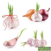 栽种这4种植物 能消炎降糖又抗癌