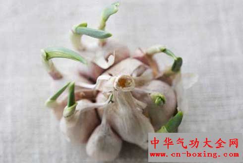 蒜头发芽,更多抗氧化物供你用