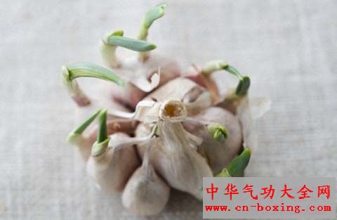 想不到 这些食物发芽后营养更好