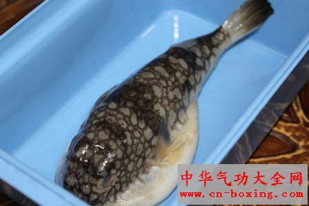 小心!这7种食物吃错部位会中毒